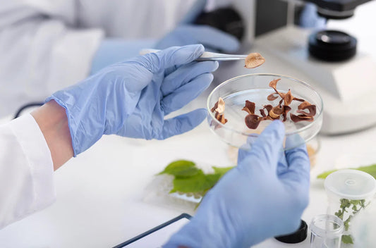 What Makes a Food R&D Partner Valuable